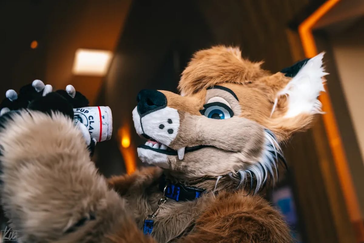 Megaplex 2025