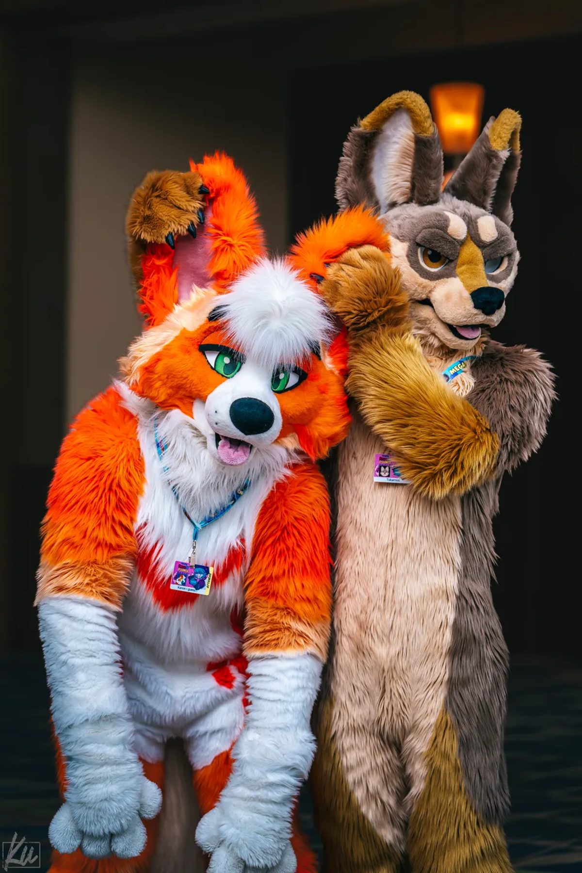 Megaplex 2025