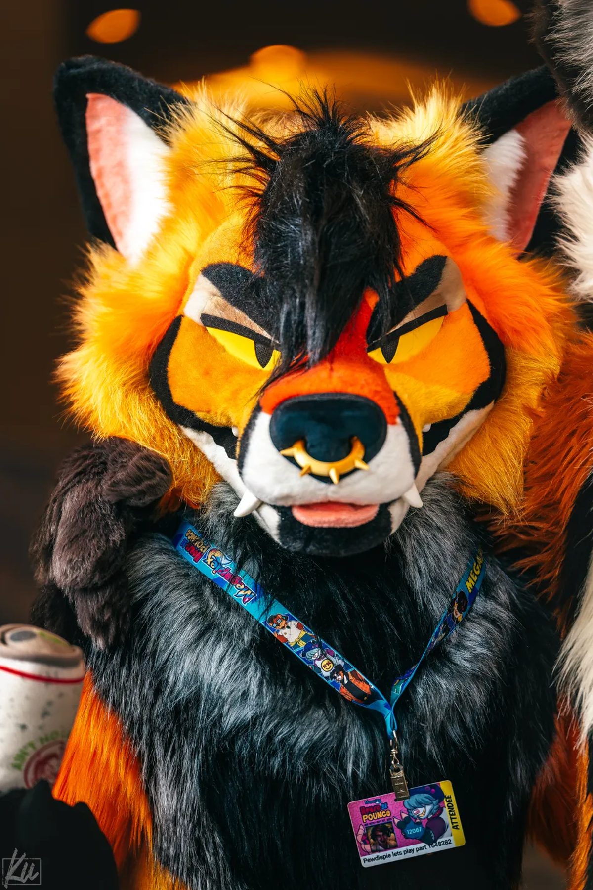 Megaplex 2025