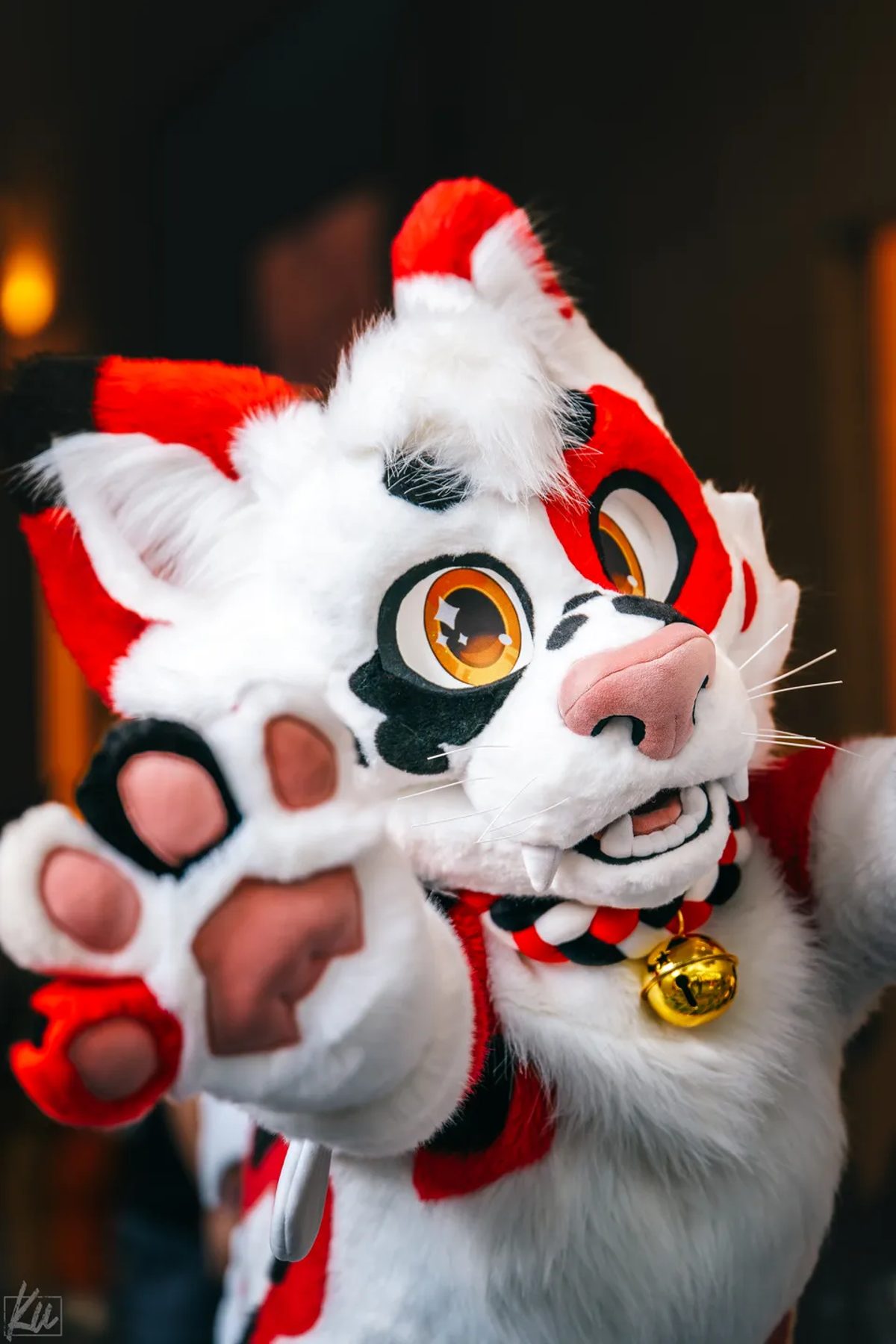 Megaplex 2025