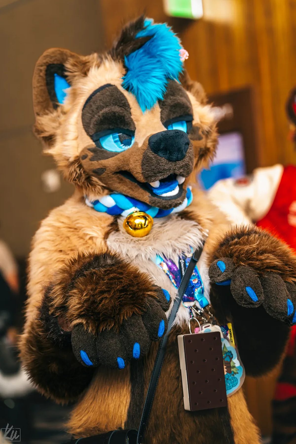 Megaplex 2025