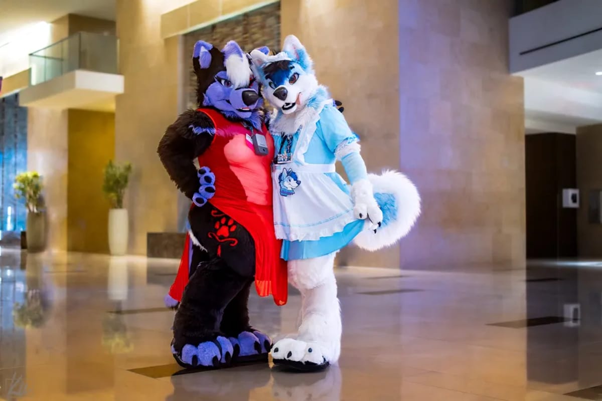 Megaplex 2024