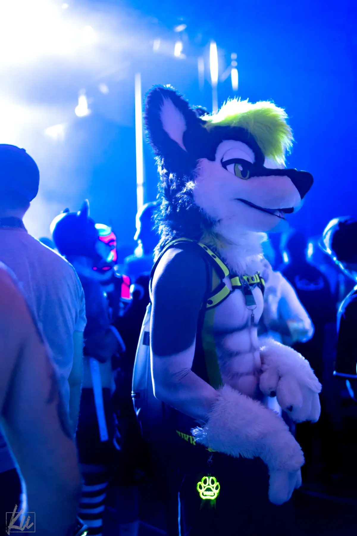 Megaplex 2024
